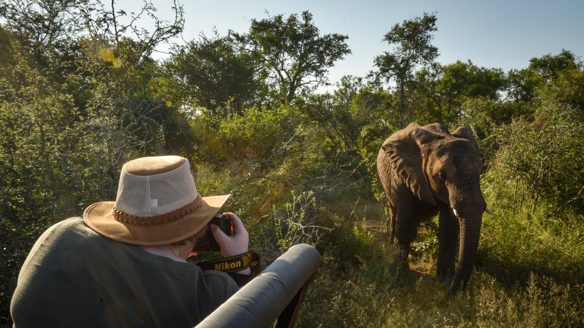 Lion Sands Tinga Lodge Скукуза Экстерьер фото