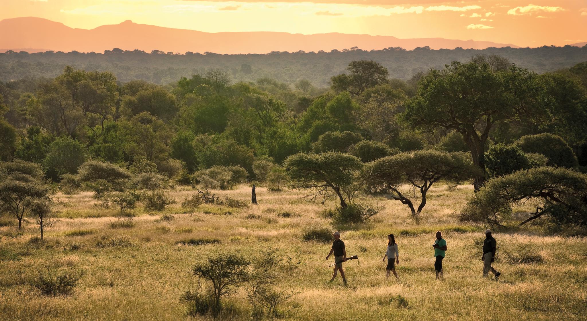 Lion Sands Tinga Lodge Скукуза Экстерьер фото
